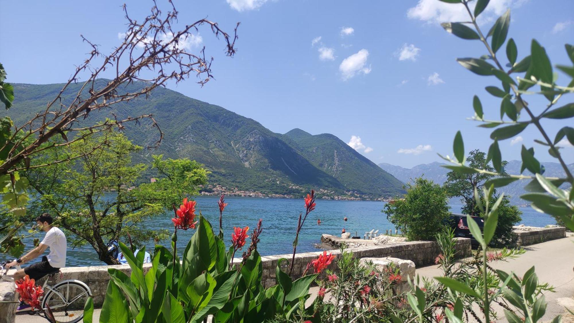 Kadena Apartments Kotor Eksteriør bilde