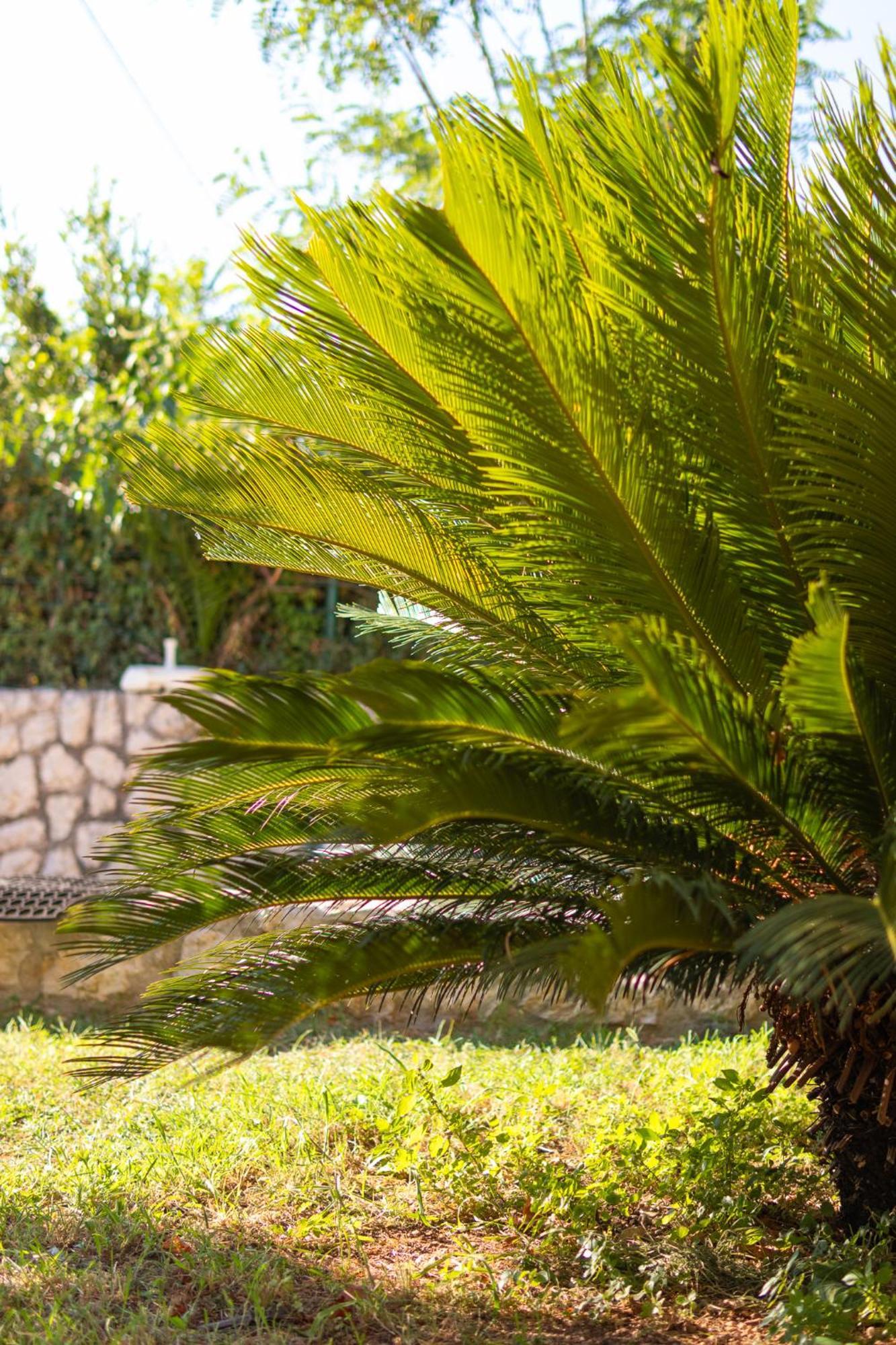 Kadena Apartments Kotor Eksteriør bilde