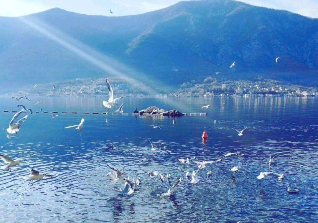 Kadena Apartments Kotor Eksteriør bilde